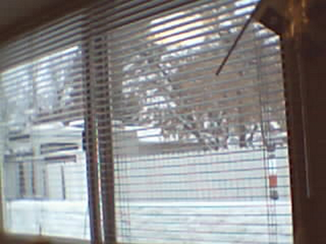 Winter Winter
